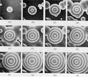 bz_concentric_waves.jpg bz_concentric_waves.jpg