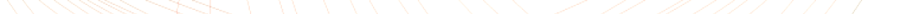 strichnetz.png strichnetz.png