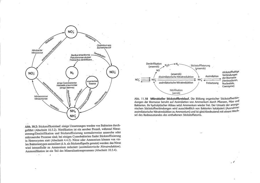 Kreislauf-Schemata Kreislauf-Schemata